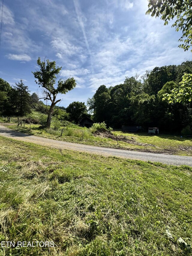 2395 Howard Rd, Bybee, TN 37713 - view of green lawn