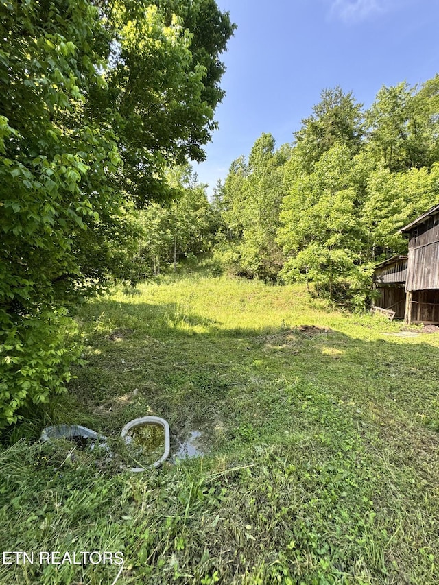 2395 Howard Rd, Bybee, TN 37713 - view of yard
