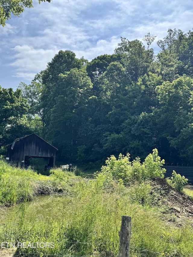 2395 Howard Rd, Bybee, TN 37713 - view of mountain background with a heavily wooded area