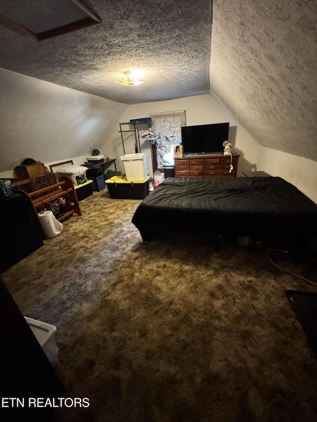 2395 Howard Rd, Bybee, TN 37713 - bedroom with a textured ceiling, vaulted ceiling, and carpet floors