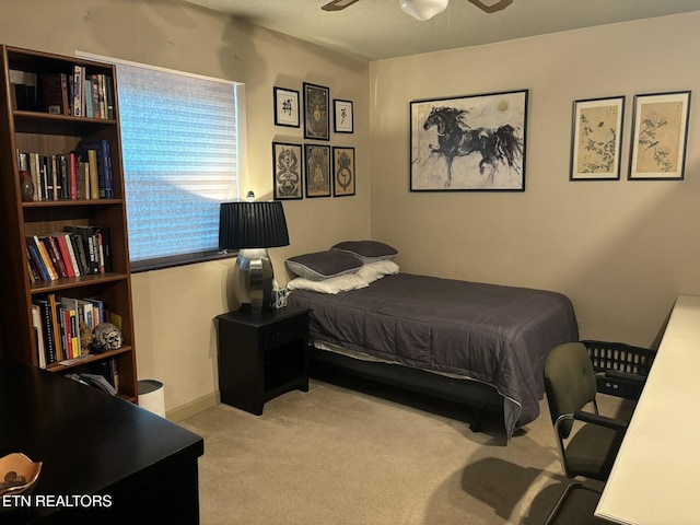 1211 Highland Ave Unit 206, Knoxville, TN 37916 - photo 11