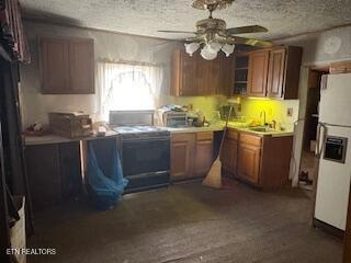 2311 Parkview Ave, Knoxville, TN 37914 - photo 5