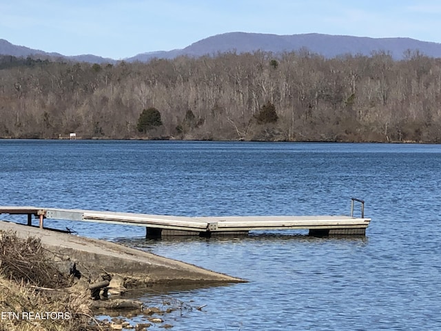 85 Royal Troon Cir, Oak Ridge, TN 37830 - dock area with a water view and a wooded view