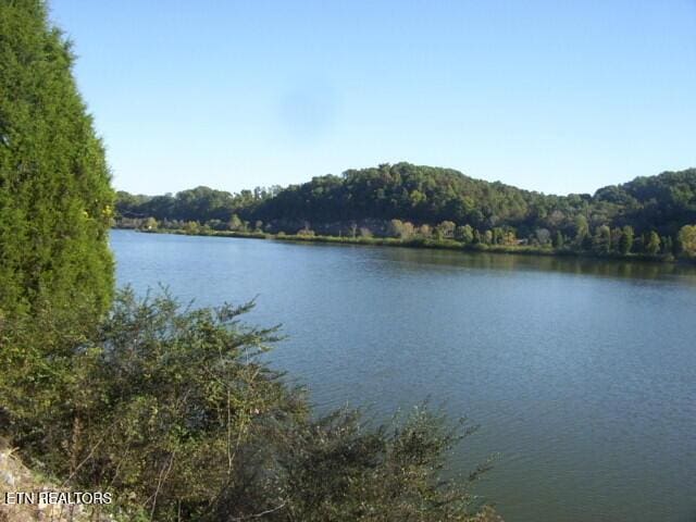 85 Royal Troon Cir, Oak Ridge, TN 37830 - water view with a forest