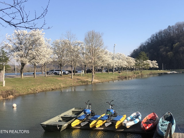 85 Royal Troon Cir, Oak Ridge, TN 37830 - dock with a water view