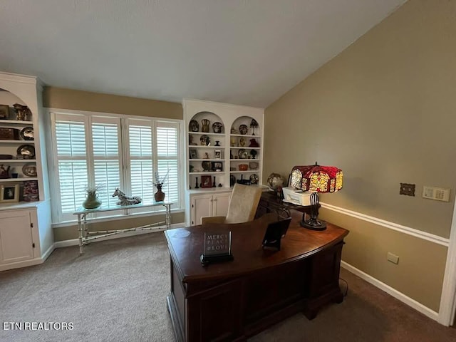 242 Adams Ln, Jellico, TN 37762 - office with carpet floors and built in shelves