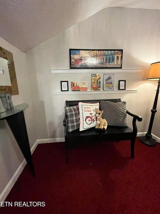 242 Adams Ln, Jellico, TN 37762 - sitting room featuring lofted ceiling, carpet flooring, and a textured ceiling