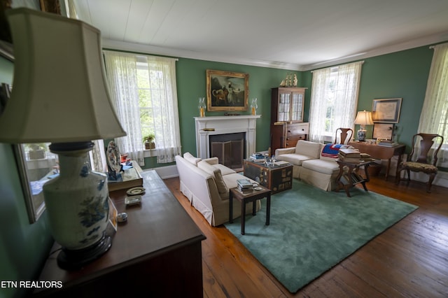 2590 Day Rd, Strawberry Plains, TN 37871 - living area featuring hardwood / wood-style flooring, healthy amount of natural light, crown molding, and a fireplace