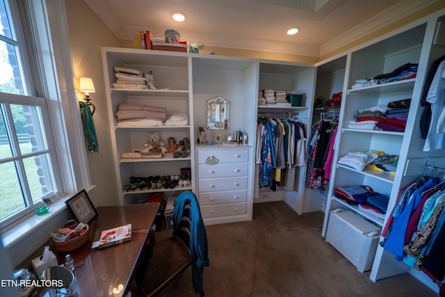 2590 Day Rd, Strawberry Plains, TN 37871 - walk in closet featuring carpet floors