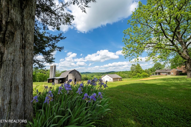 2590 Day Rd, Strawberry Plains, TN 37871 - view of green lawn featuring a barn and an outbuilding