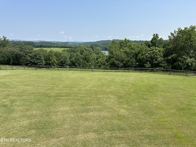 2590 Day Rd, Strawberry Plains, TN 37871 - view of yard featuring a view of countryside and a view of trees