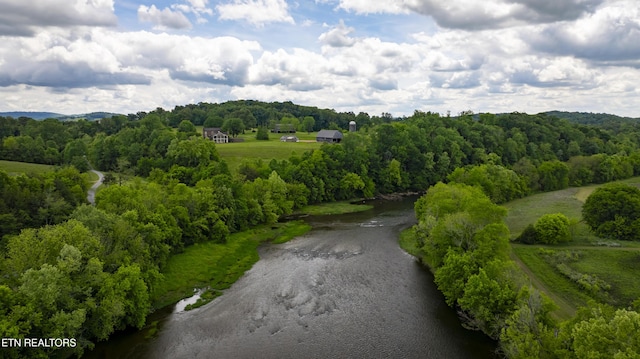 2590 Day Rd, Strawberry Plains, TN 37871 - drone / aerial view of a forest
