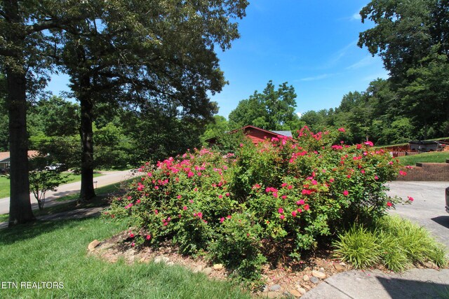 628 Greenwich Dr, Maryville, TN 37803 - photo 52