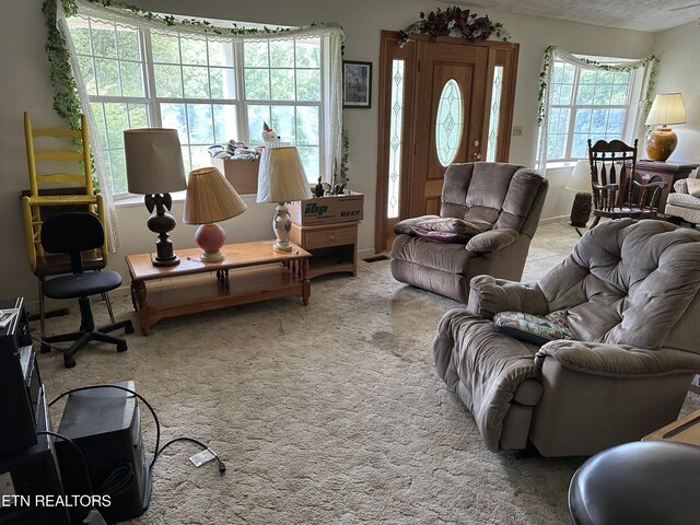 165 Bud Hatmaker Ln, Lafollette, TN 37766 - view of carpeted living area