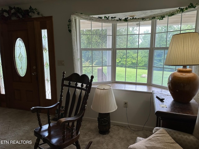 165 Bud Hatmaker Ln, Lafollette, TN 37766 - view of carpeted entrance foyer