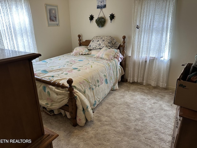 165 Bud Hatmaker Ln, Lafollette, TN 37766 - bedroom with carpet flooring