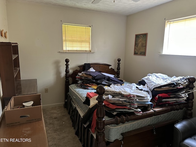 165 Bud Hatmaker Ln, Lafollette, TN 37766 - bedroom with carpet floors and a textured ceiling