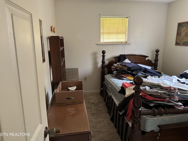 165 Bud Hatmaker Ln, Lafollette, TN 37766 - bedroom with carpet flooring