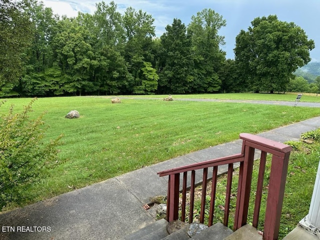 165 Bud Hatmaker Ln, Lafollette, TN 37766 - view of grassy yard