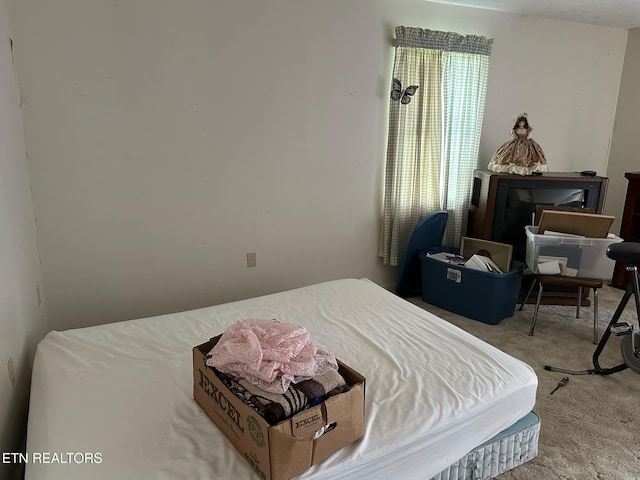 165 Bud Hatmaker Ln, Lafollette, TN 37766 - bedroom with carpet floors