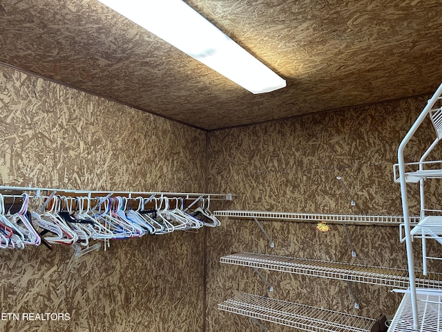 165 Bud Hatmaker Ln, Lafollette, TN 37766 - view of walk in closet