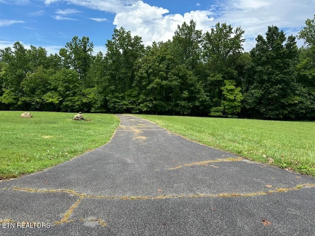 165 Bud Hatmaker Ln, Lafollette, TN 37766 - view of road with a wooded view