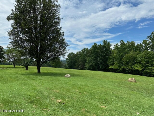 165 Bud Hatmaker Ln, Lafollette, TN 37766 - view of grassy yard