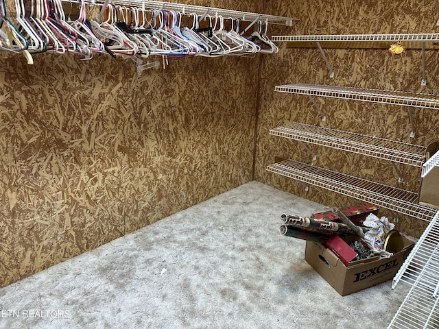 165 Bud Hatmaker Ln, Lafollette, TN 37766 - walk in closet featuring carpet