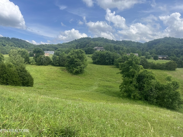 LOT259 Ruth Cir, Sharps Chapel, TN 37866 - photo 3