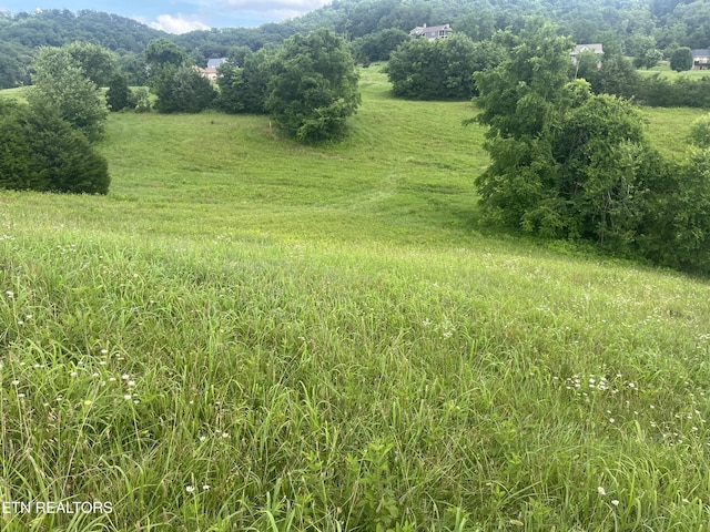 LOT259 Ruth Cir, Sharps Chapel, TN 37866 - photo 5