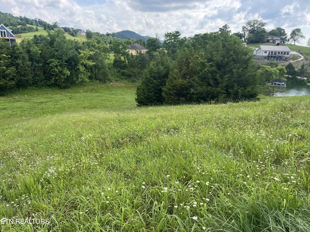 LOT259 Ruth Cir, Sharps Chapel, TN 37866 - photo 6