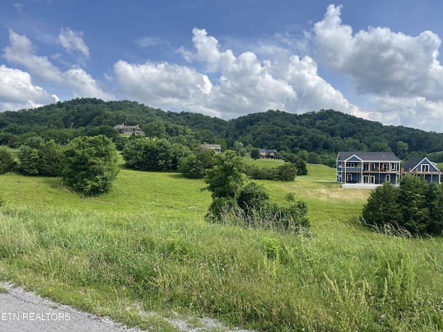 LOT259 Ruth Cir, Sharps Chapel, TN 37866 - photo 7