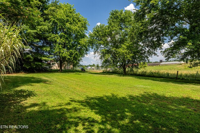 322 Oakdale St, Maryville, TN 37801 - photo 5