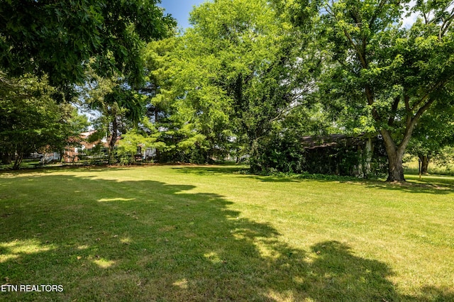 322 Oakdale St, Maryville, TN 37801 - photo 11