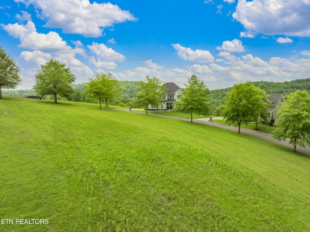 134 Pineberry E Rd, Oak Ridge, TN 37830
