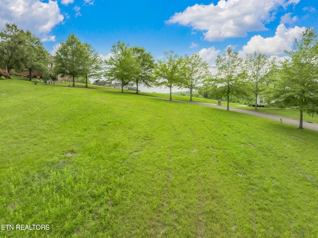 134 Pineberry E Rd, Oak Ridge, TN 37830