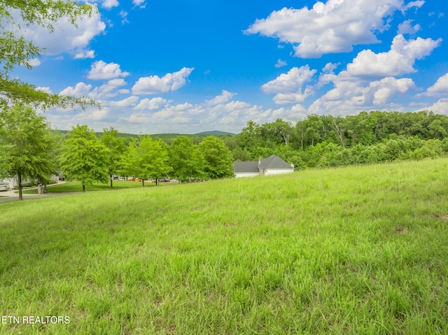 134 Pineberry E Rd, Oak Ridge, TN 37830
