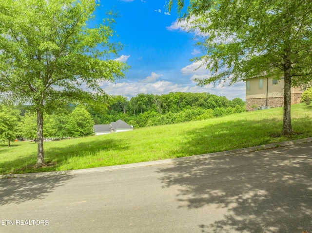 134 Pineberry E Rd, Oak Ridge, TN 37830