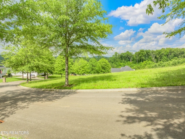 134 Pineberry E Rd, Oak Ridge, TN 37830