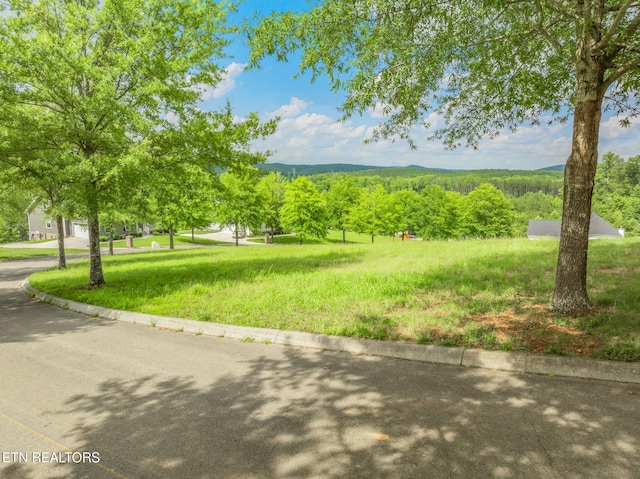 134 Pineberry E Rd, Oak Ridge, TN 37830