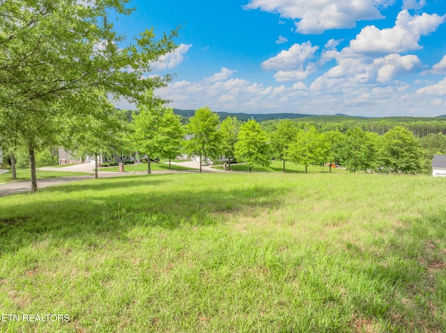 134 Pineberry E Rd, Oak Ridge, TN 37830