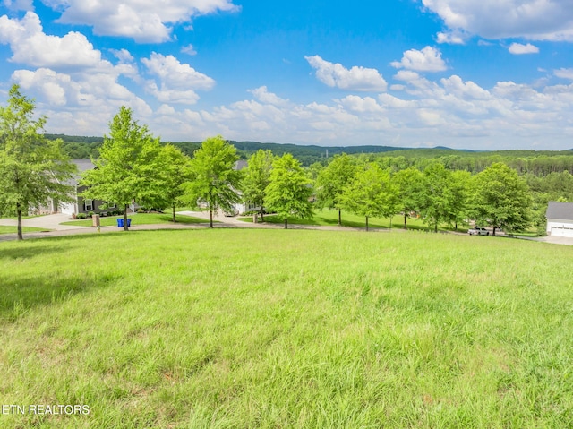 134 Pineberry E Rd, Oak Ridge, TN 37830