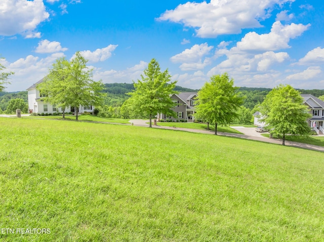 134 Pineberry E Rd, Oak Ridge, TN 37830