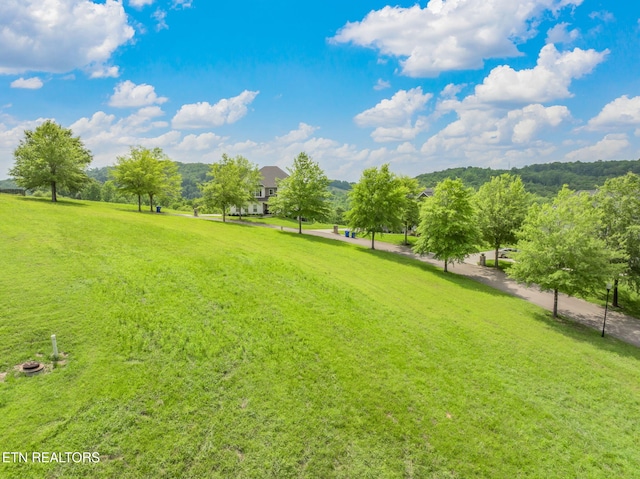 134 Pineberry E Rd, Oak Ridge, TN 37830