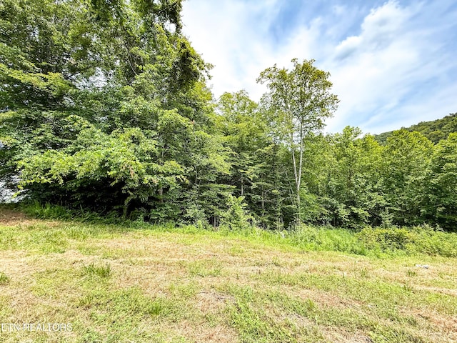 117 Cherry Oak Dr, Oak Ridge, TN 37830