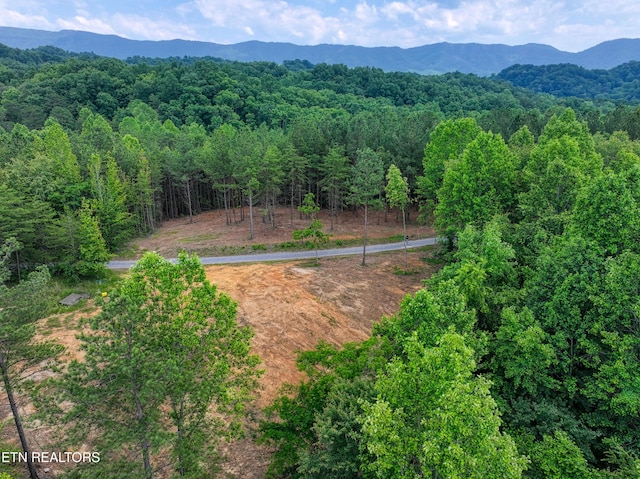 1214 Stanton Rd, Seymour, TN 37865 - photo 28