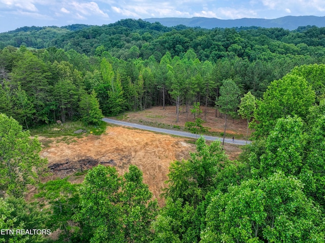1214 Stanton Rd, Seymour, TN 37865 - photo 29