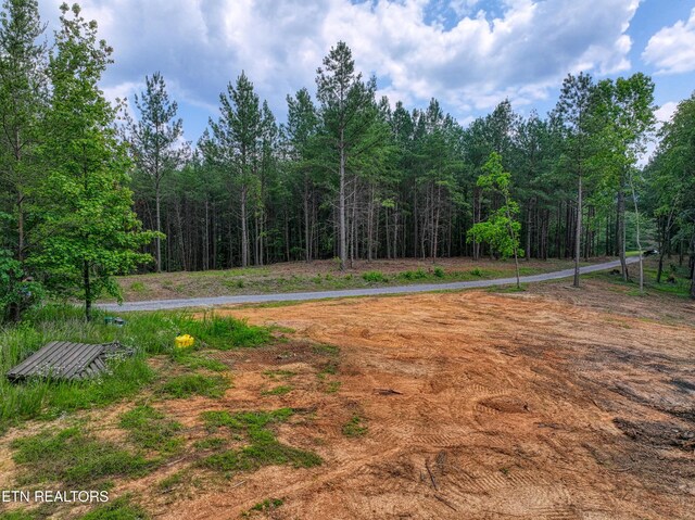 1214 Stanton Rd, Seymour, TN 37865 - photo 33
