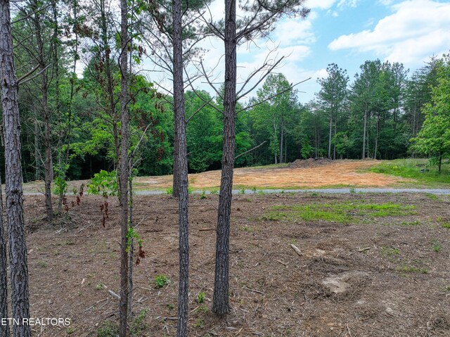 1214 Stanton Rd, Seymour, TN 37865 - photo 34