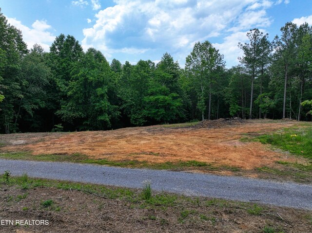 1214 Stanton Rd, Seymour, TN 37865 - photo 35